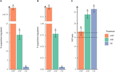 Indigenous Microorganisms Offset Arbuscular Mycorrhizal Fungi-Induced Plant Growth and Nutrient Acquisition Through Negatively Modulating the Genes of Phosphorus Transport and Nitrogen Assimilation